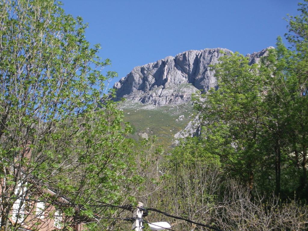 Apartamentos Калока Номер фото